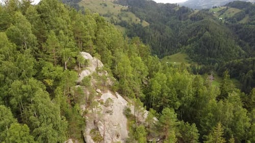 Flying Over a Rocky Mountain Slope Covered with Spruce Forest