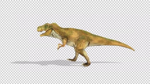 Tyrannosaurus dinosaur Walk Idle Alpha Channels