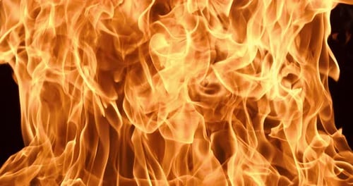 Flames of fire on black background in slow motion. Shot on super slow motion camera 1000 fps.