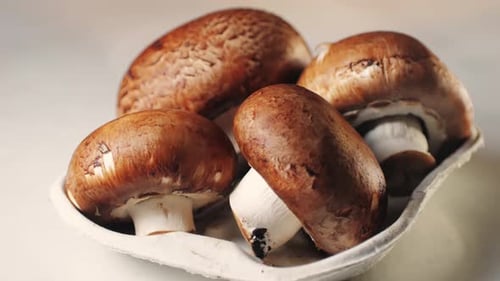 Fresh Champignon Mushrooms Big Portobello Macro Side View Background Chef Man Hold Supermarket Food