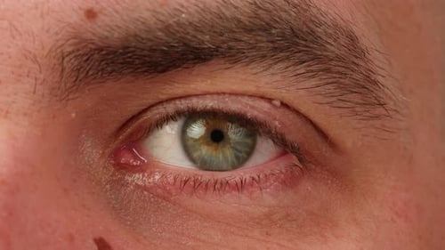 Closeup of Green Blue Eyed an with No Makeup on Face Macro Blinking Eye with Long Lashes Beauty Skin