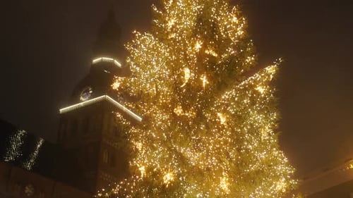 Experience the Breathtaking Night View Featuring a Dazzling Christmas Tree Illuminating a Festive