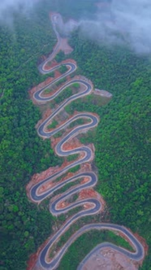 Winding Tropical Road Through Green Forest From Above
