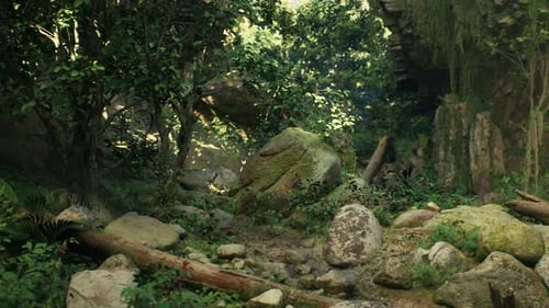 Rocky Forest Abundant With Trees and Rocks