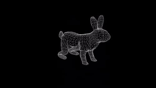 Rabbit Wireframe