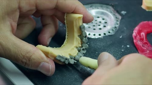Dental Technician Working on Jaw Model Close Up
