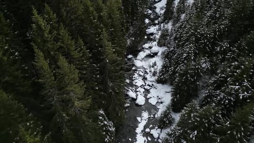 Stunning Aerial Flight Over Snowy Evergreen Forests And Frozen Rivers