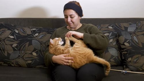 Woman Playing With Cat
