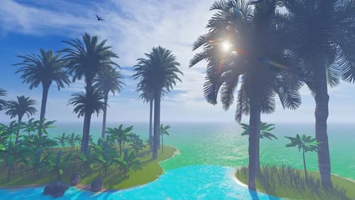 Island's of palms