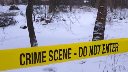 Crime Scene Forensic Police Tape In a Winter Snowing White Snow Covered Forest at Day.