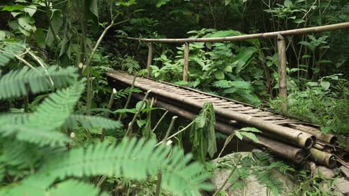 Bali jungle trek bamboo bridge over river Southeast Asia nature plants