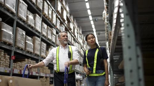 Logistics employees are working warehouse.