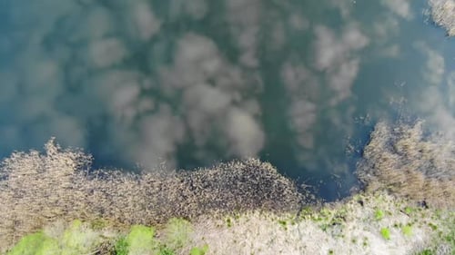 Reflection of the Sky in the Lake