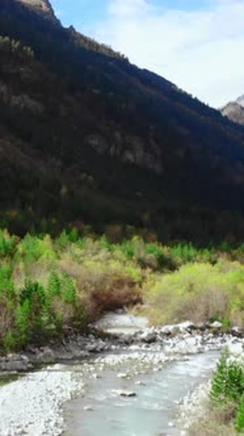 Mountain Valley Landscape with River and Forest Media