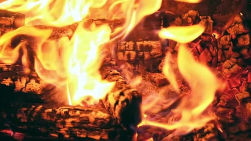 Close-up of Vibrant Campfire with Crackling Flames