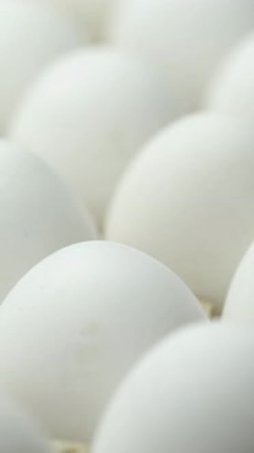 White chicken eggs in a cardboard box. Eggs in a paper tray. Vertical video