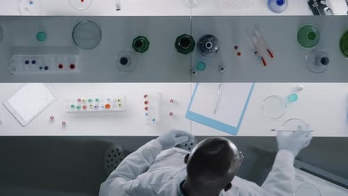Scientist Holding Scientific Experiment in Lab