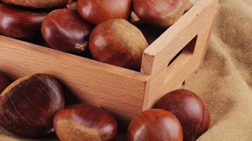 Fresh Chestnut Supermarket Food Oven Roasted Chestnuts with Sliced Peel on Wooden Board Spanish