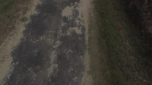 Drone shot - Revealing shot of a road in a jungle in Sri Lanka