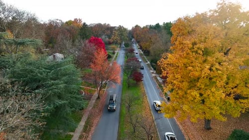 Cars drive on road through USA suburbia during autumn. Colorful fall foliage in America.
