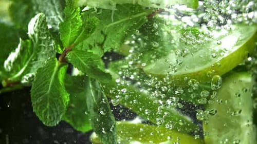 Refreshing Mint and Lime Submerged in Bubbly Water
