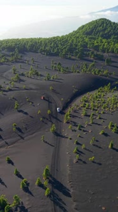 Le camping-car blanc est garé sur une route étroite entourée d'un sol volcanique noir et d'arbres verts