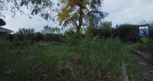 Grass and trees of an orchard on a cloudy autumn afternoon in El Retiro park in Madrid. 4K