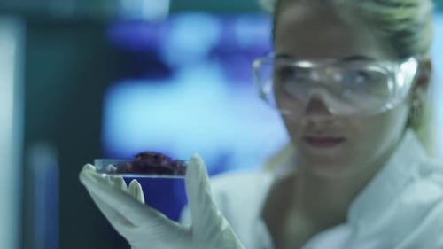 Female Scientist Examining Small Green Sprout in Lab