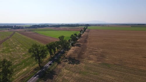 Aerial View of Country Road Near Agriculture Fields