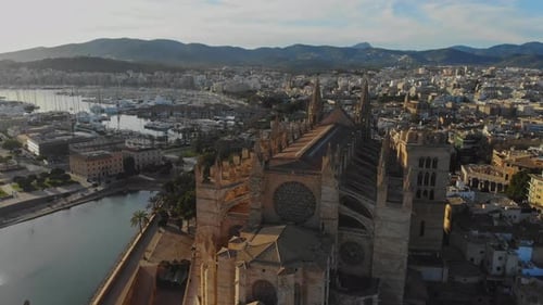 Zumbido sobrevolando la Catedral de la Basílica de Santa María, Palma de Mallorca, España.