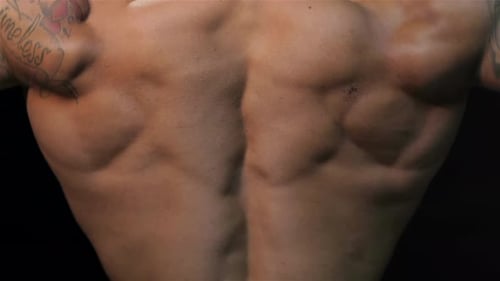 Close Up Gorgeous Muscular Back