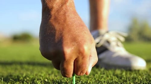 A Golfer placing a ball on a tee before in preparation of driving the ball. The golf course is green