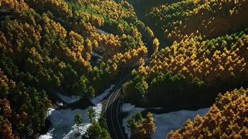 Uma vista panorâmica de uma estrada cercada por árvores