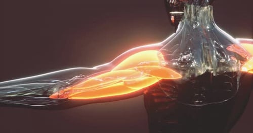 Human Arm Bicep Muscle Anatomy 3D Animation