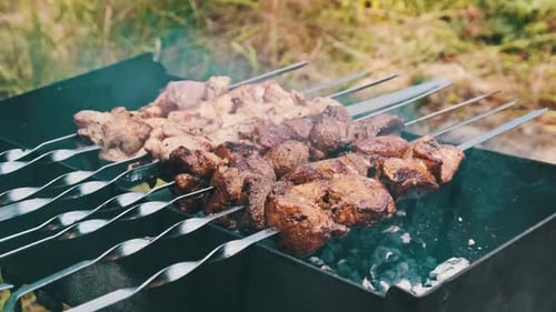 Shish Kebabs on Skewers are Cooked on the Grill in Nature Outdoors
