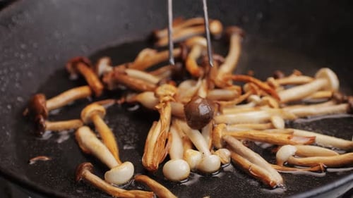 Cooking Honey Mushroom on Black Pan with Oil Closeup Mushrooms Frying on Boiling Pan for Garnish