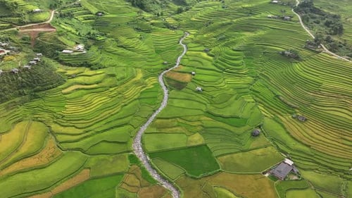 Aerial view of rice terraces field in Mu Cang Chai, Vietnam. Nature background