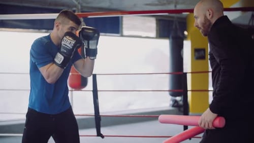 Boxertraining in Zeitlupe