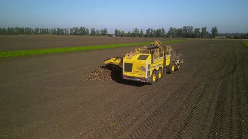 Combine harvesting sugar beet aerial view