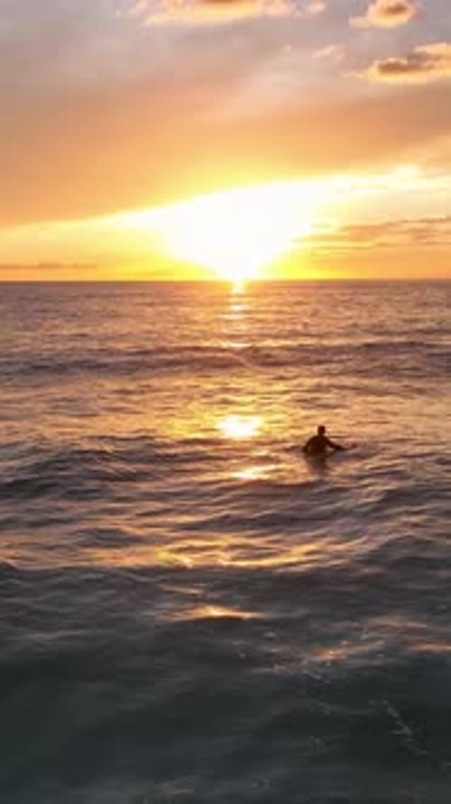 Lone Surfer Standing in the Ocean at Sunset