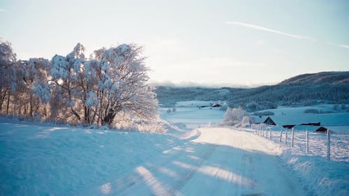 Snowy Road Through Winter Landscape