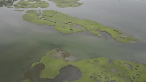 Aerial view of marshland in Gloucester, United States.