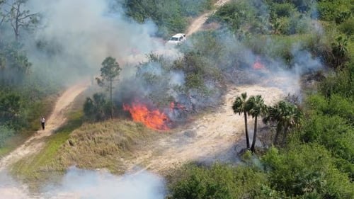 Florida Forest Fire Burns Through Dry Vegetation While Emergency Crews Fight Flames and Smoke Rising