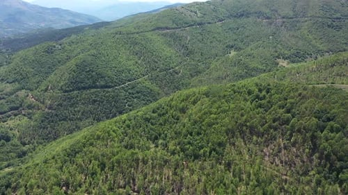Vue aérienne des collines boisées