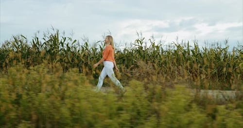 Young Pretty Caucasian Happy Girl Woman Run At Cornfield Summertime Healthy Lifestyle Concept Focus