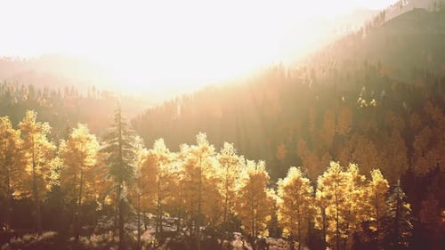 Sunlight Streaming Through Trees in a Picturesque Mountain Landscape