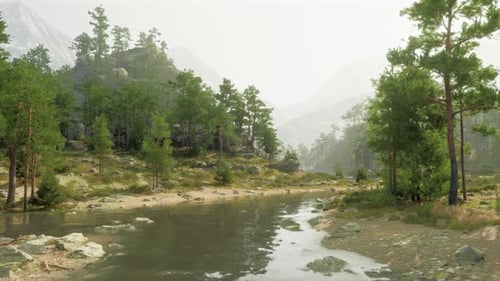 Ein ruhiger Fluss, der durch einen lebendigen grünen Wald fließt