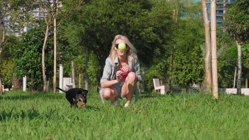 Woman Playing Fetch With Dog in Sunny Park