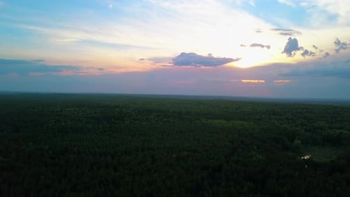 Top view of forest and sunset rays of sun in clouds