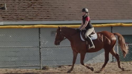 A Group of Young Girls Equestrians at an Equestrian School Halifax Canada